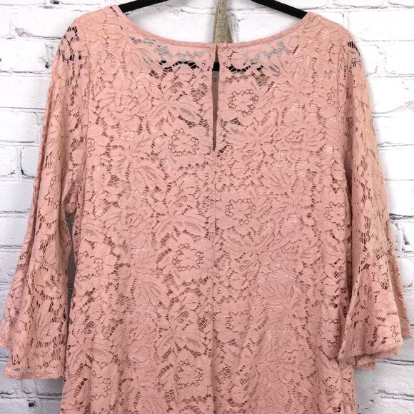 Lane Bryant Women's Romantic Feminine Lace Flounce Sleeve Pink Dress Size 14P - Picture 5 of 14